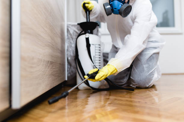 Best Commercial Pest Control Services  in Blacksburg, SC