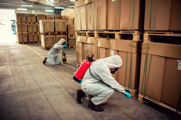 Best Pest Prevention Services  in Blacksburg, SC