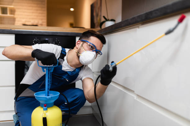 Best Pest Control Near Me in Blacksburg, SC
