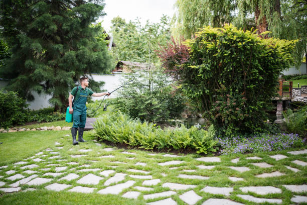 Best Best Pest Control Near Me  in Blacksburg, SC