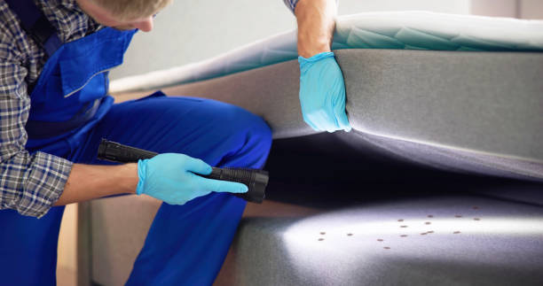 Pest Control Cost in Blacksburg, SC