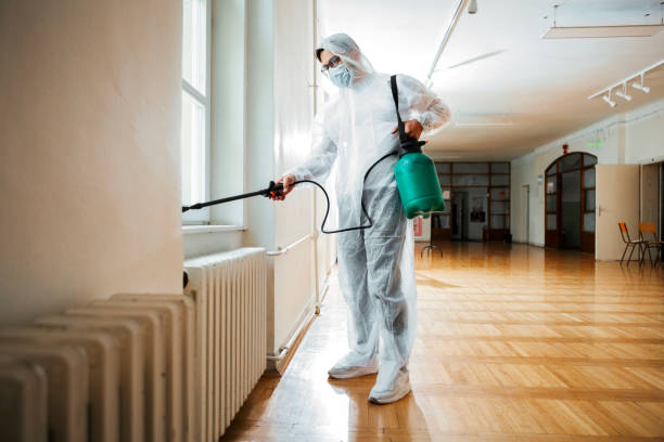 Best Insect Control  in Blacksburg, SC